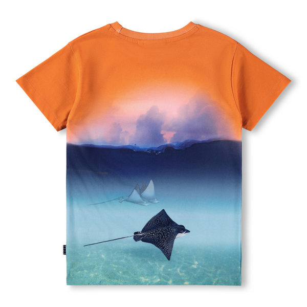Into The Sunset T-shirt