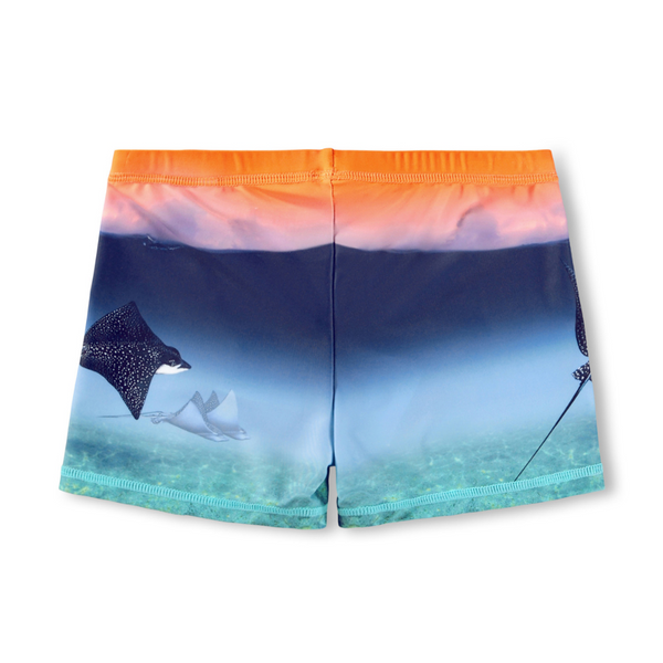 Into The Sunset Trunks