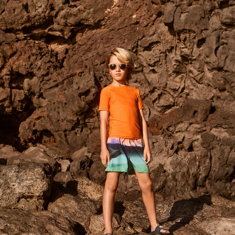 Into The Sunset Boardies