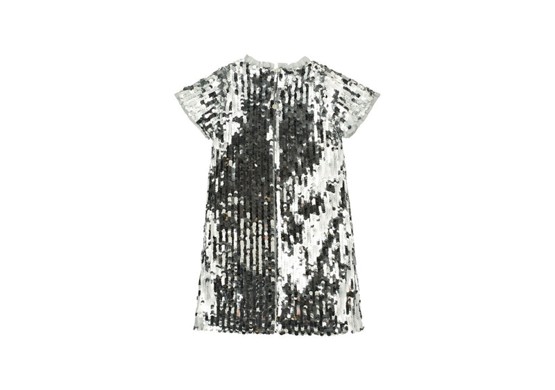 Holly Hastie Silver Sequined Party Dress