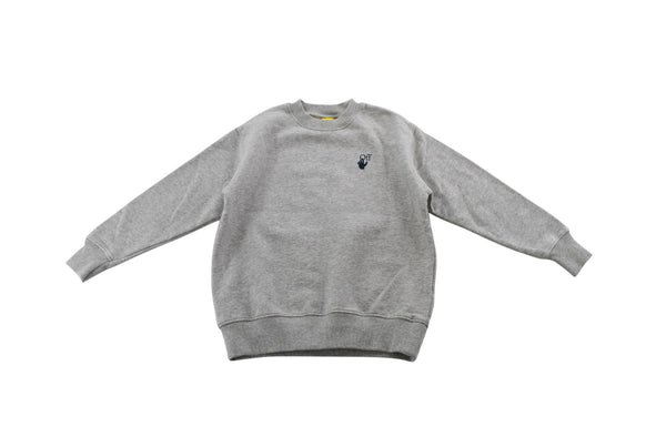 Light Grey Sweatshirt