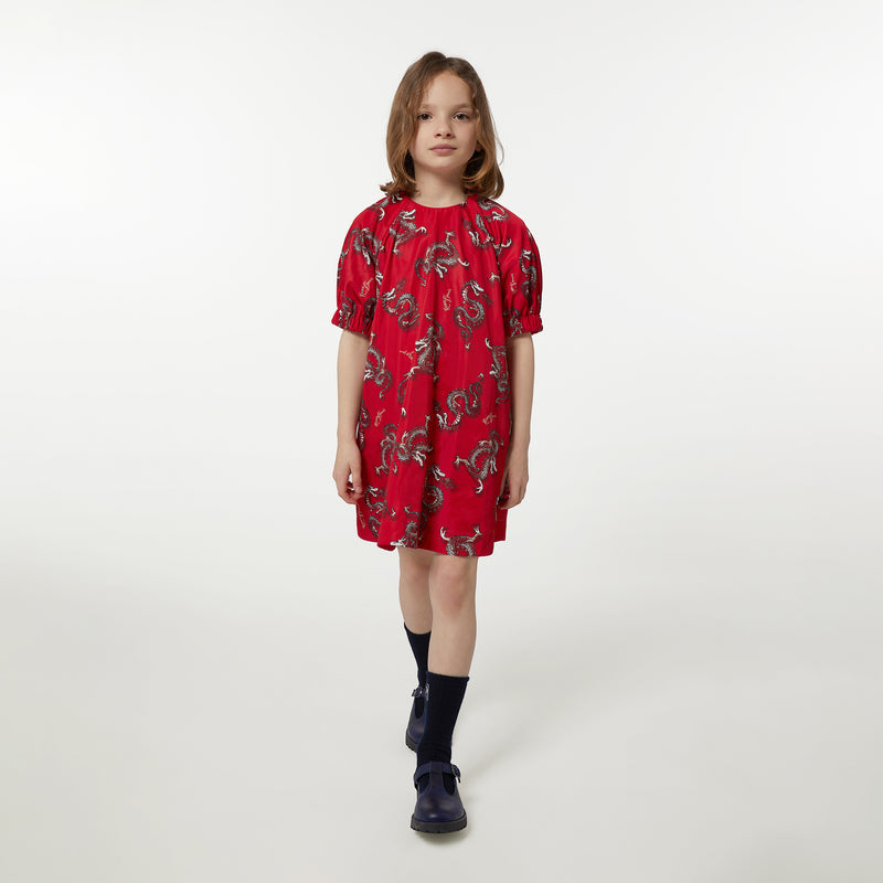 Red Dragon Print Dress